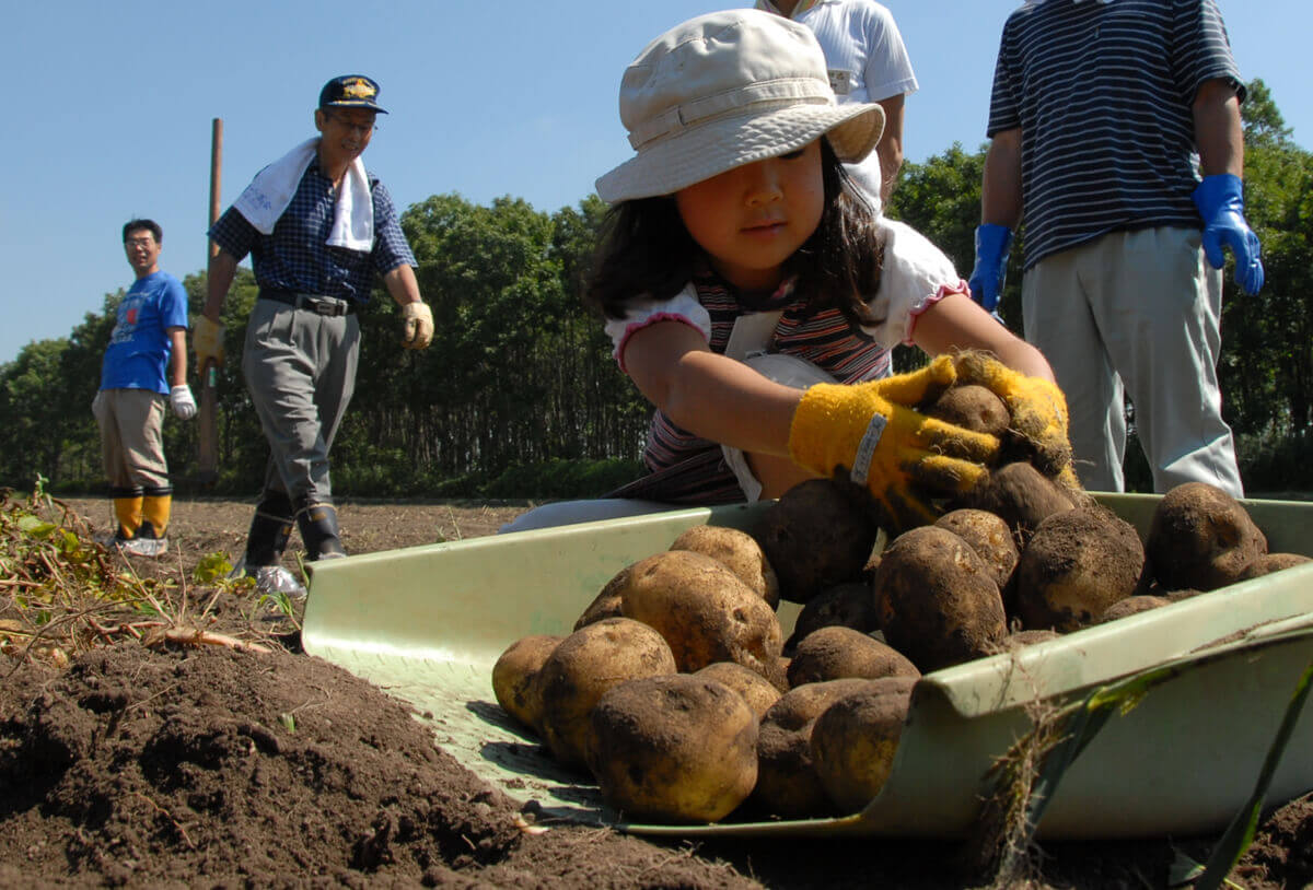 食育