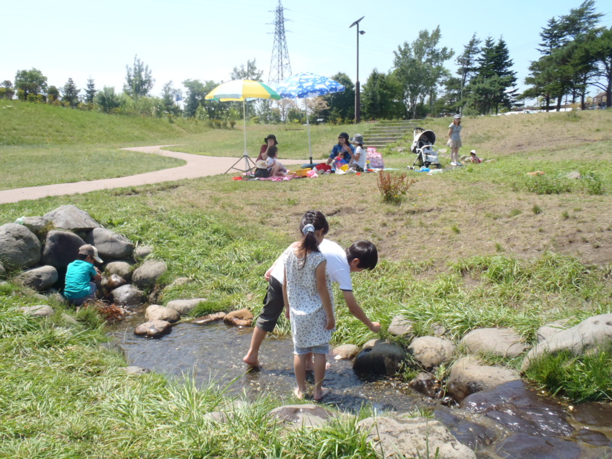 漁川にたくさんの鮭がのぼってくるのにビックリ！