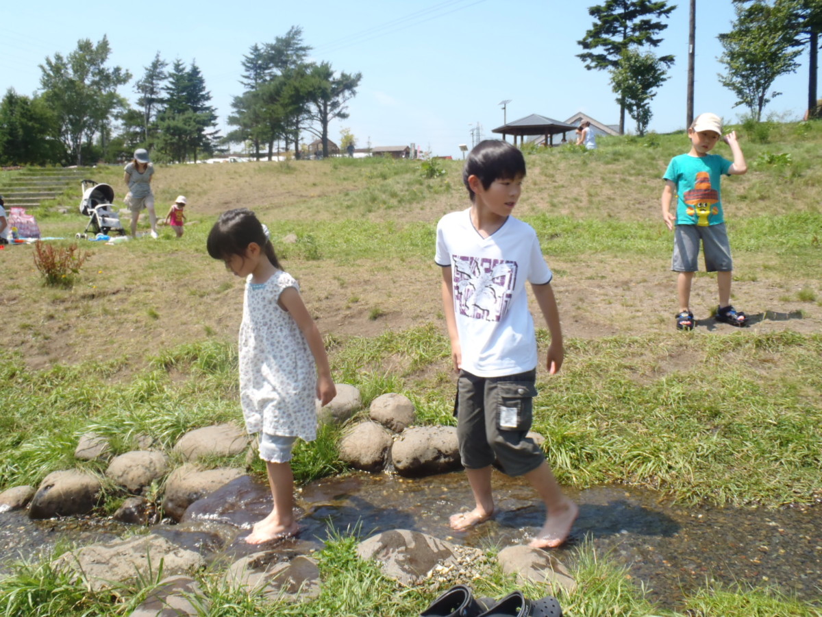 漁川にたくさんの鮭がのぼってくるのにビックリ！