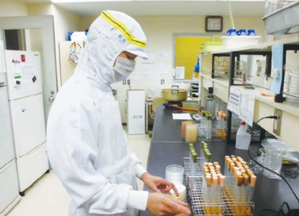 こんな社員がいます