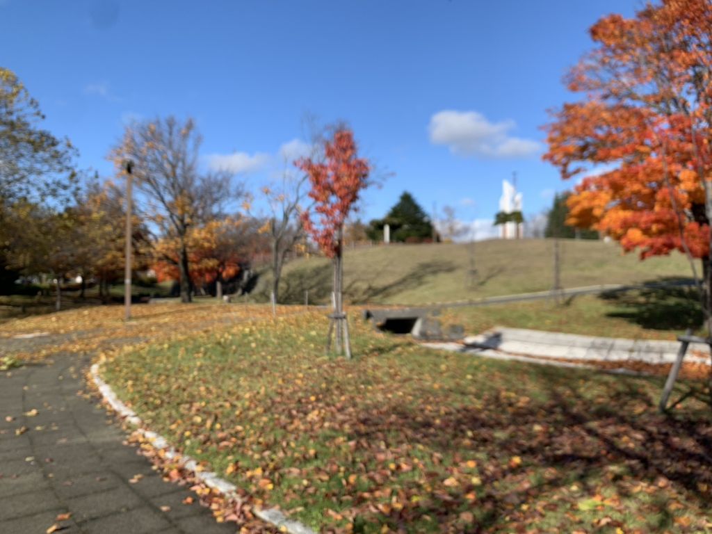 山口県和木町職員の寺山さんが語る「えにわ滞在記」