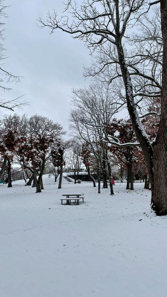 山口県和木町職員の寺山さんが語る「えにわ滞在記」