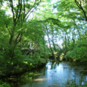 恵庭公園