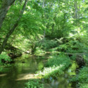 恵庭公園